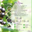 산들영농조합법인 이미지