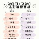 해피동물약국 이미지