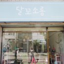 달꼬소롬