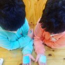 비바체공방