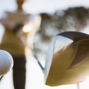 TM골프클럽 이미지