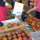 서귀포향토오일시장 이미지