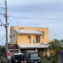 여주-0207 | 5월의 오키나와 - 2 (+갑자기 떠난 제주)