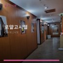 로얄고시텔 - 강동구 양재대로 1522 | 로얄고시텔