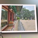 ❤️☂ 12개의 폭포로 유명한 포항 내연산 산행(영상) 이미지