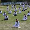 사계절푸른솔태권도 이미지