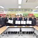 금골마루 이미지