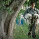 꿈의 농장 이미지