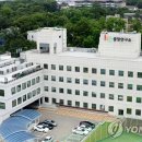 50 연합뉴스