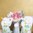 친환경엘샤론머리염색