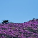 참샘약수터 | 경남 밀양 종남산(2026.04.07)