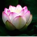 여주-0071 이미지