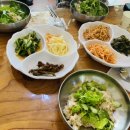삼시세끼보리밥