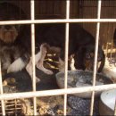 이덕재농장 이미지