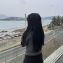 로와맨션 이미지