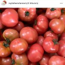 매봉농장 이미지