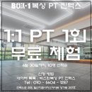 킨복싱