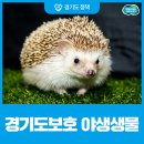 보호 이미지