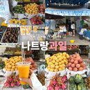 과일가게 - 성남시 중원구 은행로7번길 26 | 베트남 나트랑 과일 맛집 추천 65번 과일가게 가격 내돈내산 후기