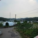 영은주유소 이미지