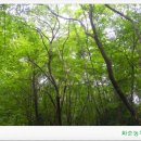 만연농장 이미지