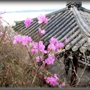 속삭이는 바다 이미지