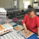 복지농장 이미지