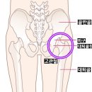 필라이브 이미지