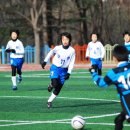 인천부평초 이미지