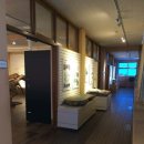 경북대학교 자연사박물관 이미지