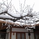 경주민박 Daum카페