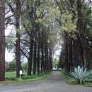 엘에이농장 이미지