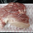 금빛한돈 이미지