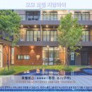 모모호텔 | 치앙마이 모모 호텔 솔직 후기! 인생 숙소 등극? 추천 이유!