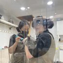 꽃길 걷는 고양이 이미지