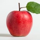 바디채널 대실점 네이버블로그