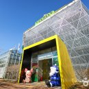 수양시장 이미지