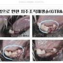 재생동물병원 이미지