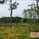 혁신솔비공인중개사사무소 이미지