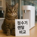 정수기 렌탈 비교 가이드 2025💧