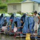 연정낚시터 이미지