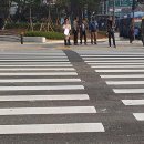 횡단보도 앞 이미지