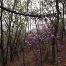 특급 노래연습장 이미지