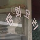 고양이집사 이미지