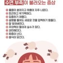 건바디짐 네이버블로그