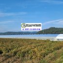 이스타 이미지