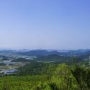 달마고도 이미지