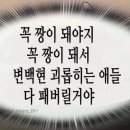 스테이인주 | 백현 Reverie dot 올콘 후기