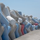 영덕관광안내소 이미지