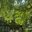 하루소양 이미지